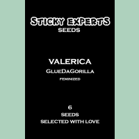 Sticky Experts Valerica GlueDaGorilla Fem 6St.