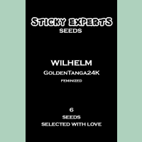 Sticky Experts Wilhelm GoldenTanga24K Fem 6St.