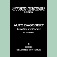 Sticky Experts Auto Dagobert GelatoGoCookie Fem 6St.