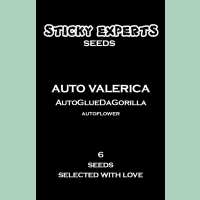 Sticky Experts Auto Valerica GlueDaGorilla Fem 6St.