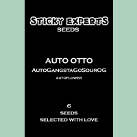 Sticky Experts Auto Otto GangstaGoSourOg Fem 6St.