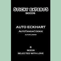 Sticky Experts Auto Eckhart TangaGoCookie Fem 6St.