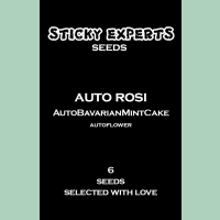 Sticky Experts Auto Rosi BavarianMintCake Fem 6St.