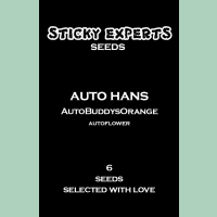 Sticky Experts Auto Hans BuddysOrange Fem 6St.