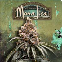 T.H. Seeds Mona Lisa Fem 6St.