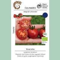 Freilandtomate Vivaroma