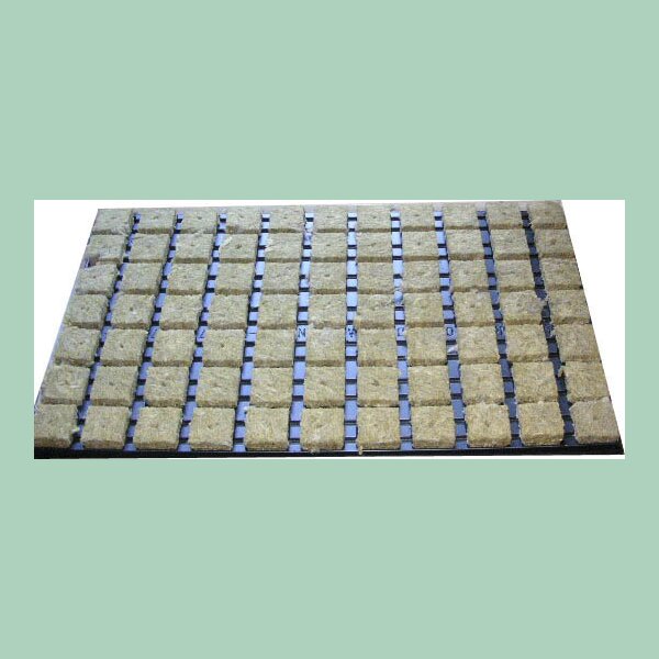 SteinwollwÃ¼rfel im Tray 4x4cm 77 StÃ¼ck