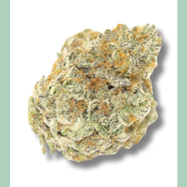 Growers Choice Permanent Whitemarker Fem 3St.