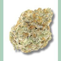 Growers Choice Permanent Whitemarker Fem 3St.