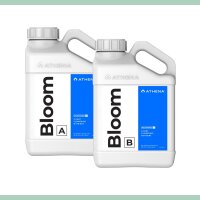 Athena Bloom A+B 2x 946 ml