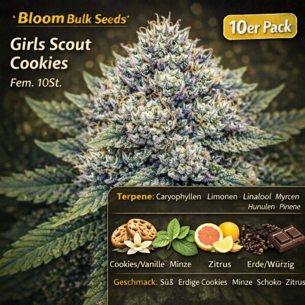 Bloom Bulk Seeds Girls Scout Cookies Fem 10St.