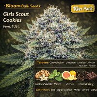 Bloom Bulk Seeds Girls Scout Cookies Fem 10St.