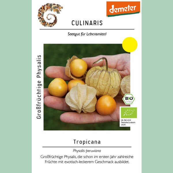 Großfrüchtige Physalis Tropicana