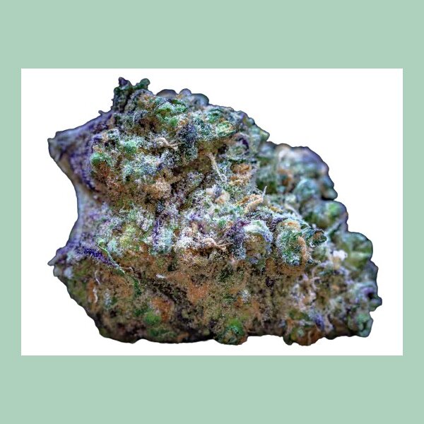 Growers Choice Frozen Cherry Runtz Fem 3St.