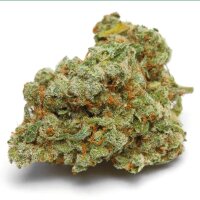 Growers Choice Banana Sherbert XXL Auto Fem 3St.
