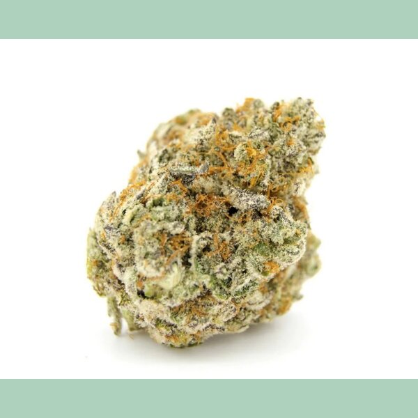 Growers Choice Forbidden Runtz XXL Auto Fem 3St.