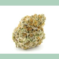 Growers Choice Forbidden Runtz XXL Auto Fem 3St.