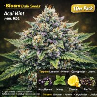 Bloom Bulk Seeds Acai Mint Fem 10St.