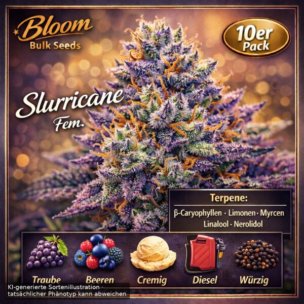 Bloom Bulk Seeds Slurricane Fem 10St.