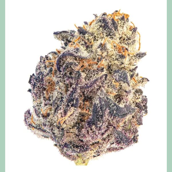 Growers Choice Cherry MAC Muffin Fem 3St.