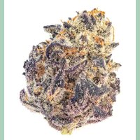 Growers Choice Cherry MAC Muffin Fem 3St.