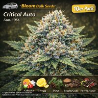 Bloom Bulk Seeds Critical Auto Fem 10St.