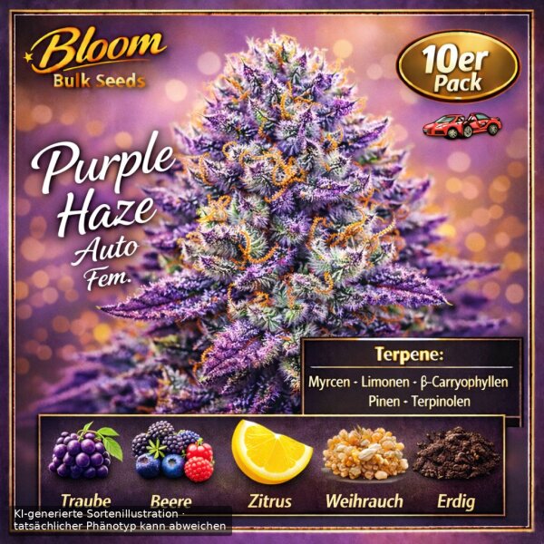 Bloom Bulk Seeds Purple Haze Auto Fem 10St.