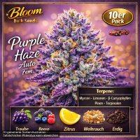 Bloom Bulk Seeds Purple Haze Auto Fem 10St.