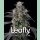Barneys Farm Super Boof Fem 3St.
