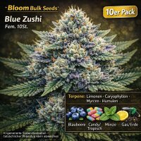 Bloom Bulk Seeds Blue Zushi Fem 10St.