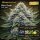 Bloom Bulk Seeds Blue Zushi Fem 10St.