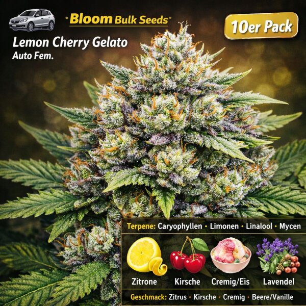 Bloom Bulk Seeds Lemon Cherry Gelato Fem 10St.