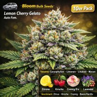 Bloom Bulk Seeds Lemon Cherry Gelato Fem 10St.