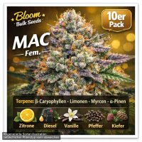 Bloom Bulk Seeds MAC Fem 10St.