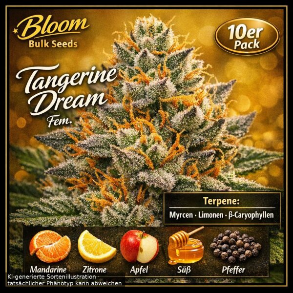 Bloom Bulk Seeds Tangerine Dream Fem 10St.