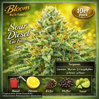 Bloom Bulk Seeds Sour Diesel Go Fast Fem 10St.