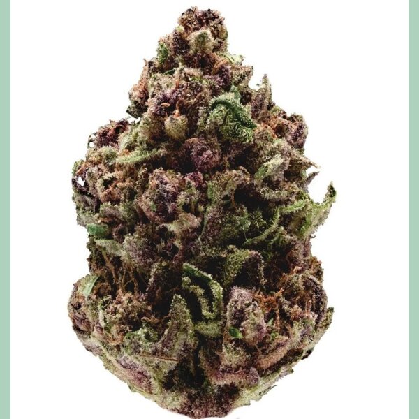 Growers Choice Pink Magic Fast Version Fem 3St.