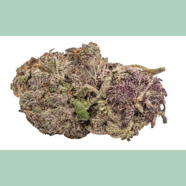 Growers Choice Ultra Violet GMO Fem 3St.