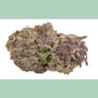 Growers Choice Ultra Violet GMO Fem 3St.