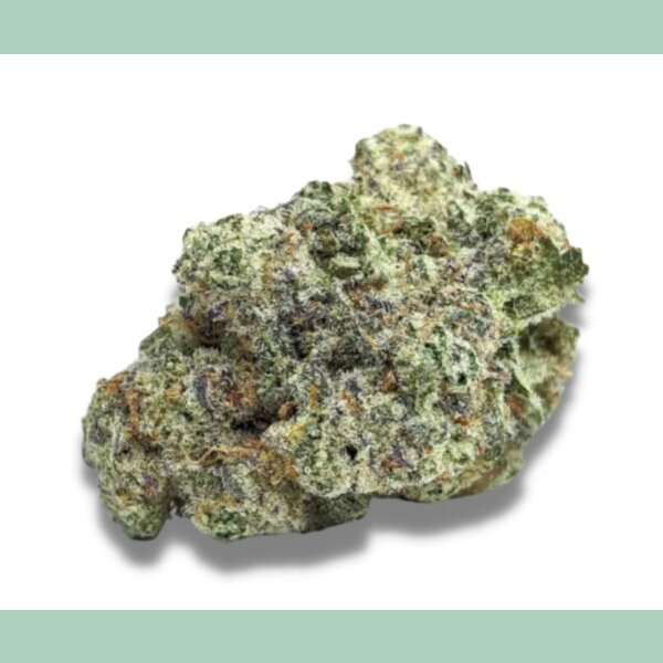 Growers Choice MAC 1 Auto Fem 3St.