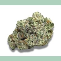 Growers Choice MAC 1 Auto Fem 3St.