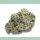 Growers Choice MAC 1 Auto Fem 3St.