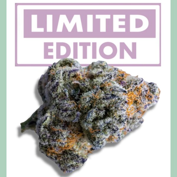 Growers Choice Platinum Mimosa Cookies XXL Auto Fem 3St.