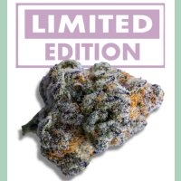 Growers Choice Platinum Mimosa Cookies XXL Auto Fem 3St.