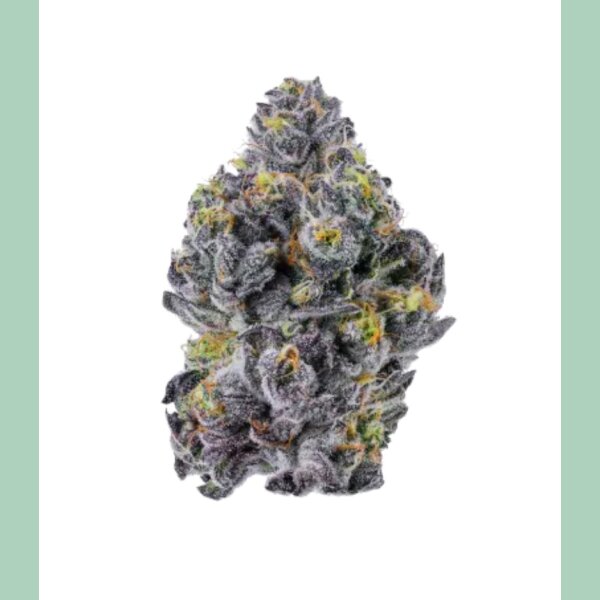 Growers Choice Sticky Wasabi Triploid Fem 3St.