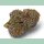 Growers Choice Purple Dosi Punch Fem 3St.