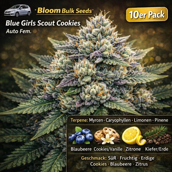 Bloom Bulk Seeds Blue Girls Scout Cookies Auto Fem 10St.