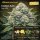 Bloom Bulk Seeds Cookies Kush Fem 10St.