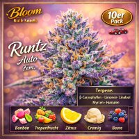 Bloom Bulk Seeds Runtz Auto Fem 10St.