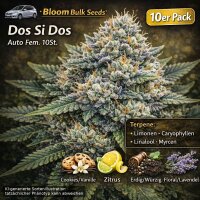 Bloom Bulk Seeds Dos Si Dos Auto Fem 10St.